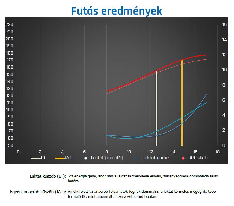 jegyzokonyv futas2