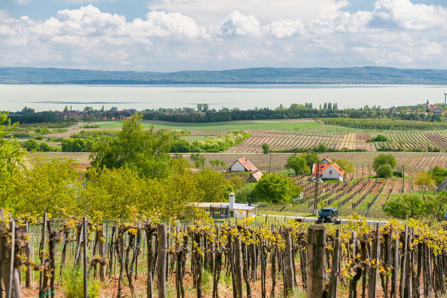 Ultra Balaton Trail 2020 panoráma