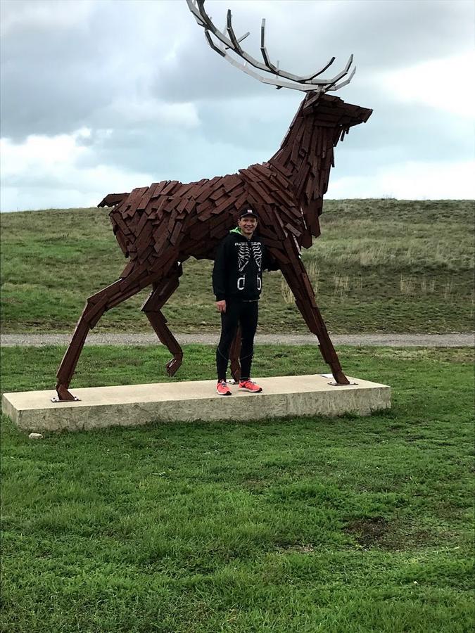Ultra Balaton Trail 2020 faló fotó