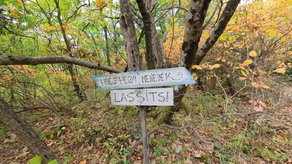 UltraBalatonn Trail 2021 erdei csendélet